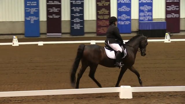 MGN16 - Sport Horse 1 - Sunday Morning
