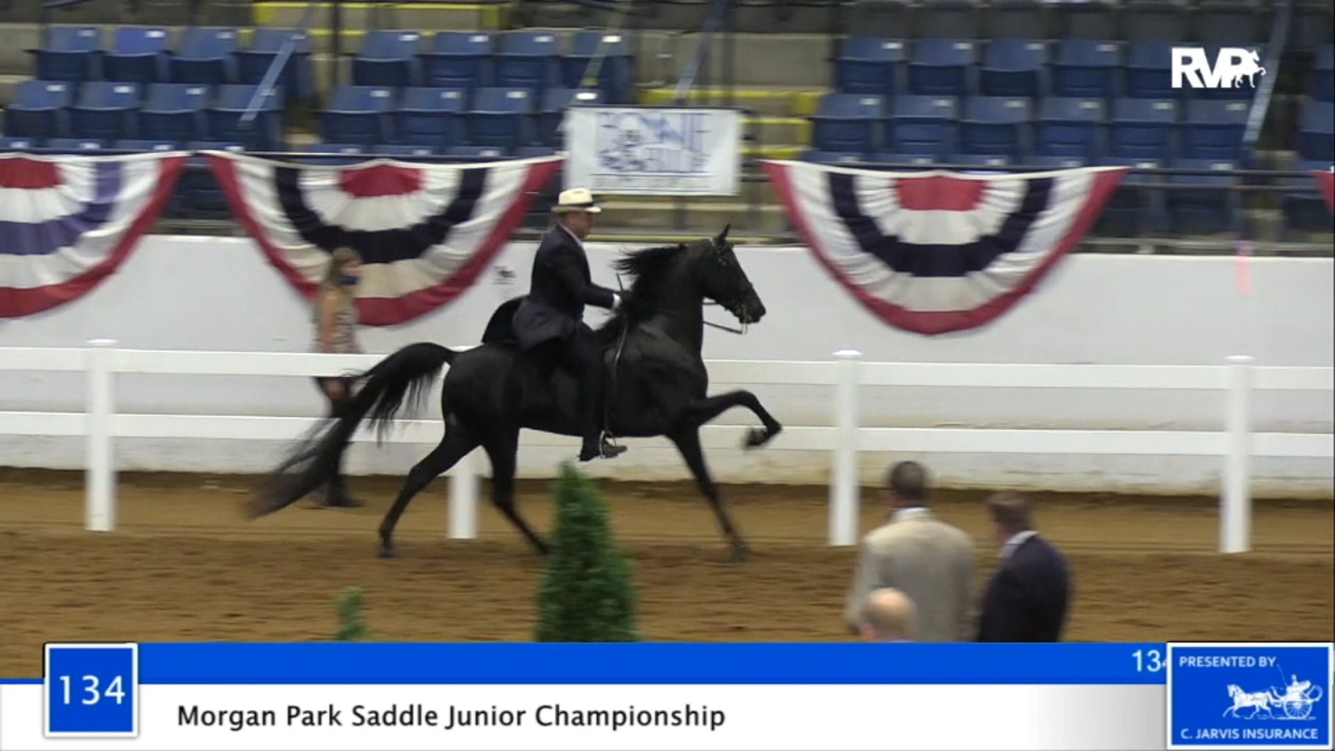 2020 BB - Class 134 English Park Saddle Junior
 Championship
