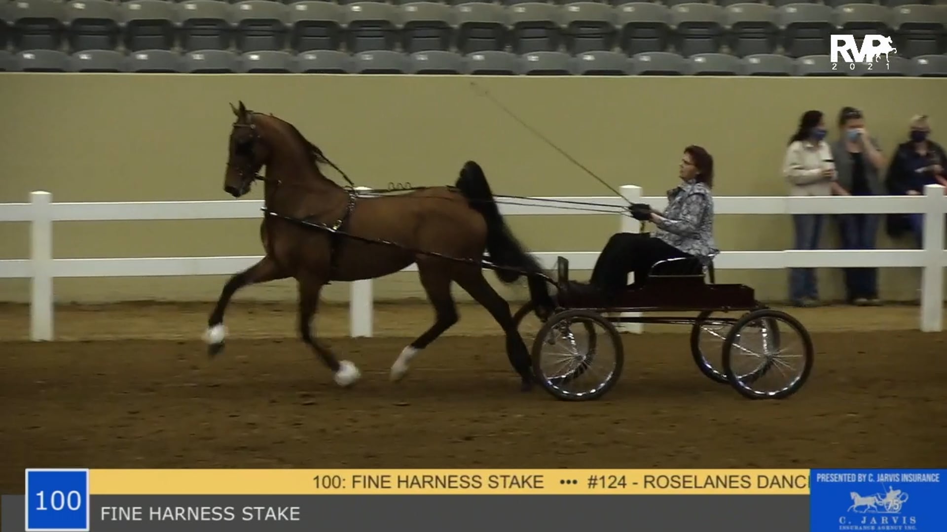 KYSP21 - Class 100 - FIne Harness Stake