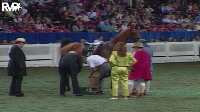 2004 World's Championship Horse Show ...