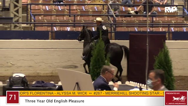 2020 JMHS - Class 71 Three Year Old E...