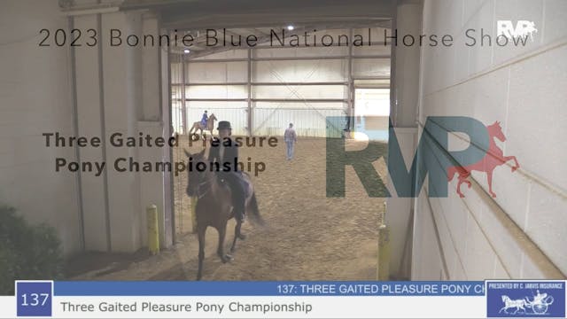 BB23 - Class 137 - Three Gaited Pleas...