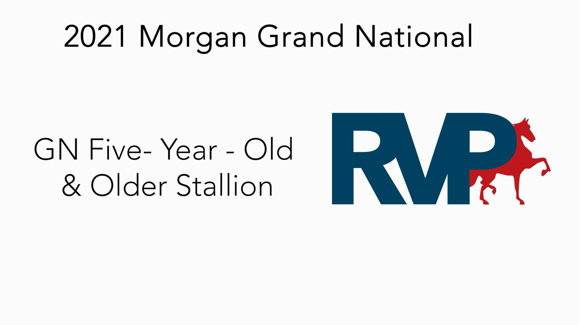 MGN21 - Class 34 GN Five - Year - Old & Older Stallion