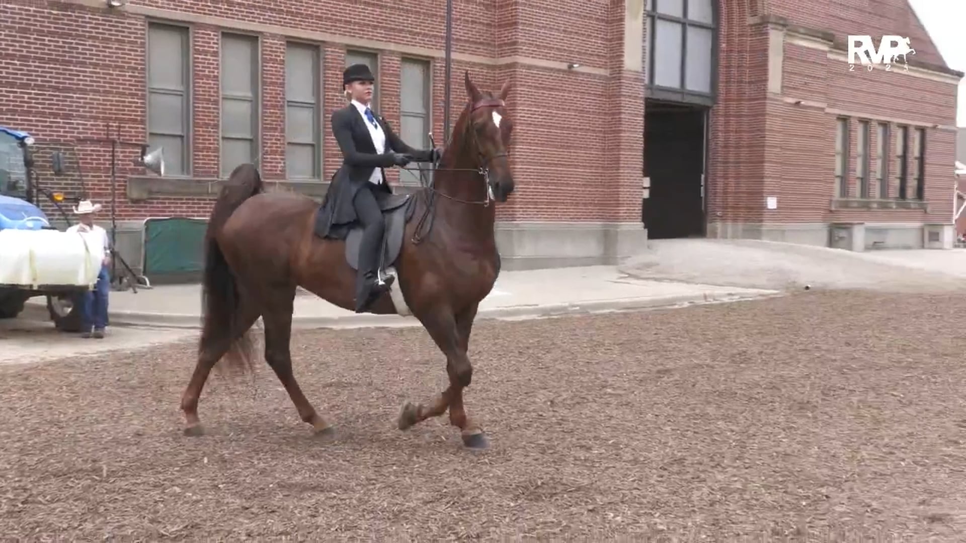 MW25 - Class 112 - Saddle Seat Equitation The Good Hands 17 & Under