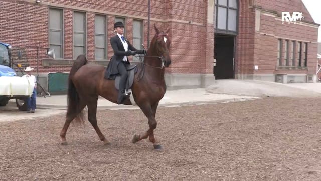 MW25 - Class 112 - Saddle Seat Equita...