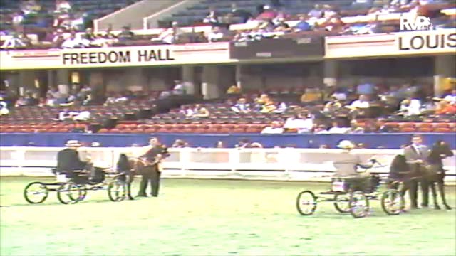 1992 WCHS Class 140 Junior Harness Po...
