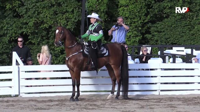 RC15 - Class 46 - Saddle & Bridle Wil...