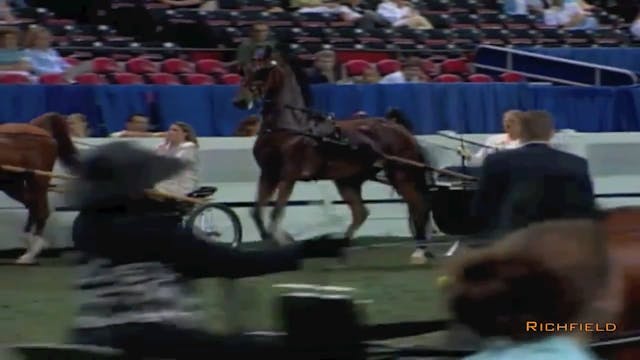 2002 WCHS Class 59 Show Pleasure Driv...
