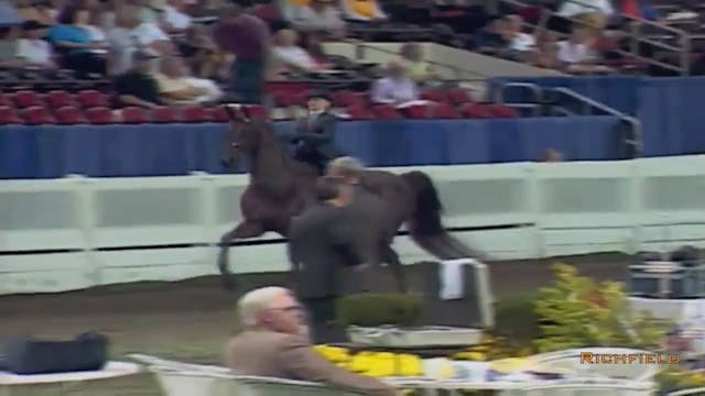 2002 WCHS Class 79 Three Gaited Show ...