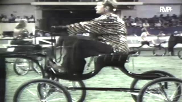 1991 WCHS Class 79 Ladies Harness Pony