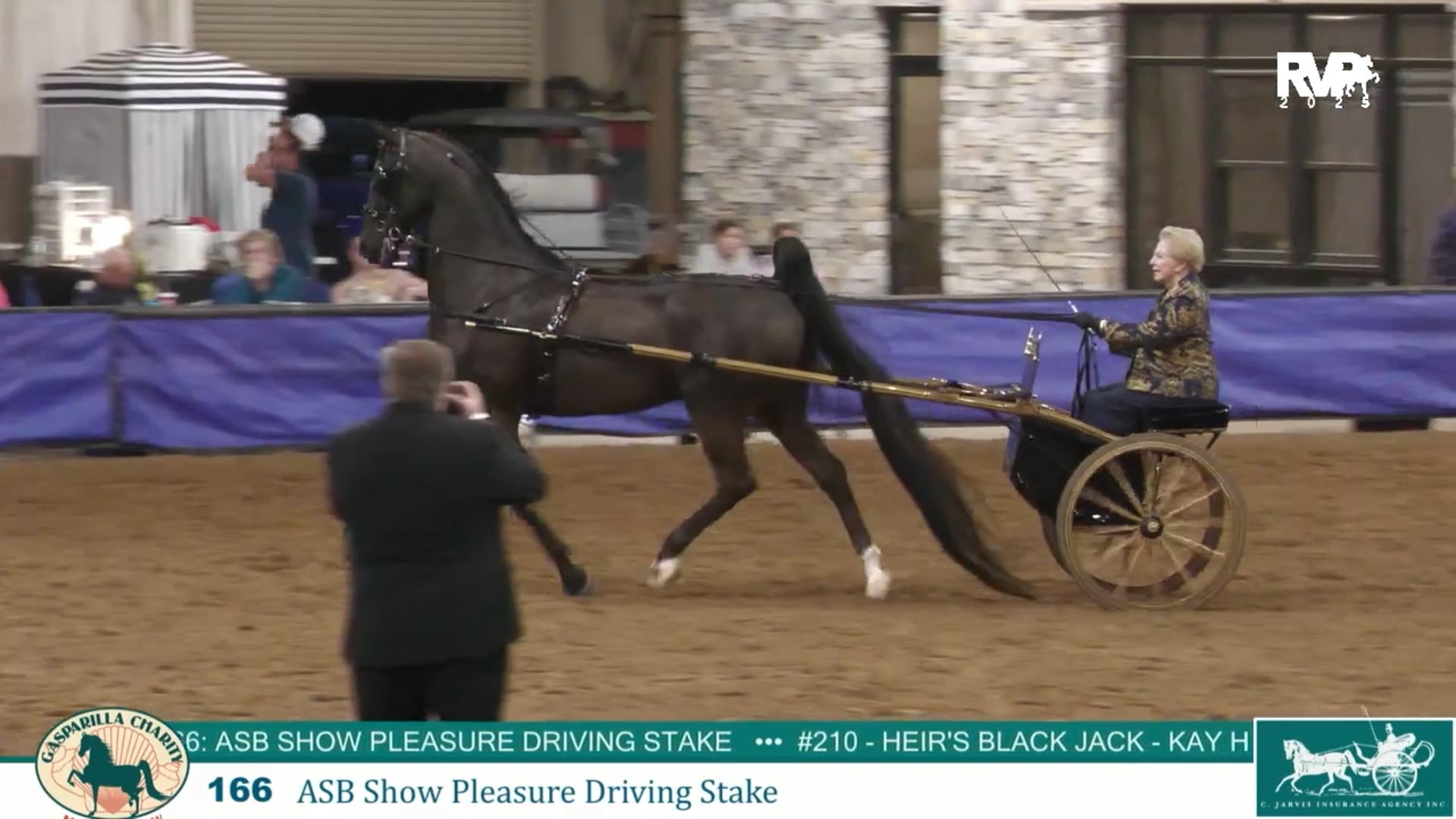 GC25 - Class 166 - ASB Show Pleasure Driving Stake