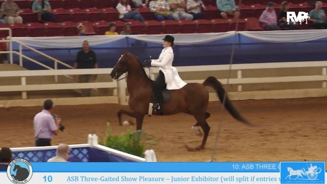 BR24 - Class 10 - ASB Three-Gaited Sh...