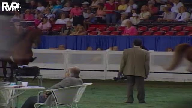 2004 World's Championship Horse Show ...