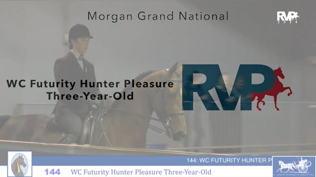 MGN24 - Class 144 - WC Futurity Hunte...