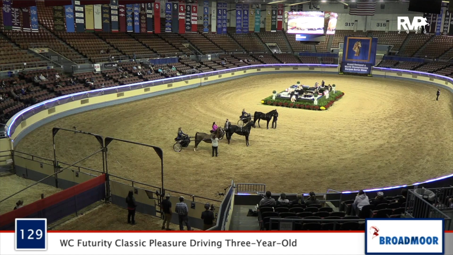 2020 MGN - Class 129 WC Futurity Classic Pleasure Driving Three-Year-Old
