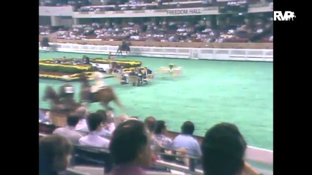 1989 WCHS Class 3 Junior Three Gaited...