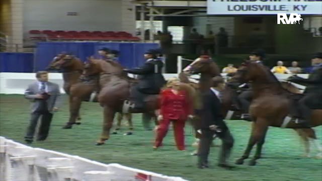 2000 WCHS Class 64 Equitation Open Ri...