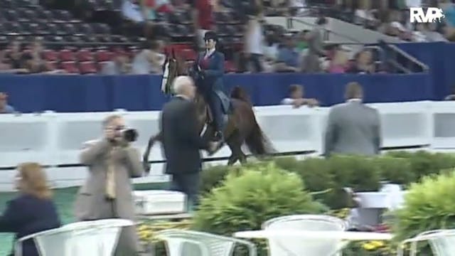 2010 World's Championship Horse Show ...