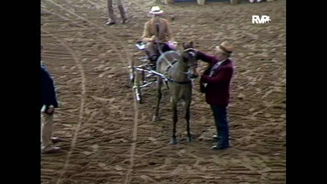 1988 Des Moines Spring Horse Show - H...