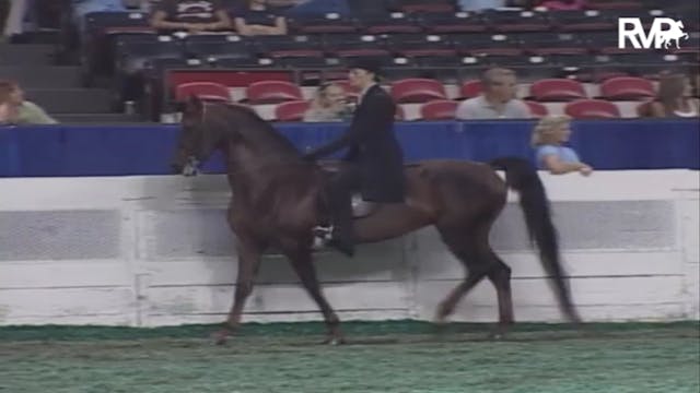 2007 WCHS Class 122 ASB Junior Exhibi...