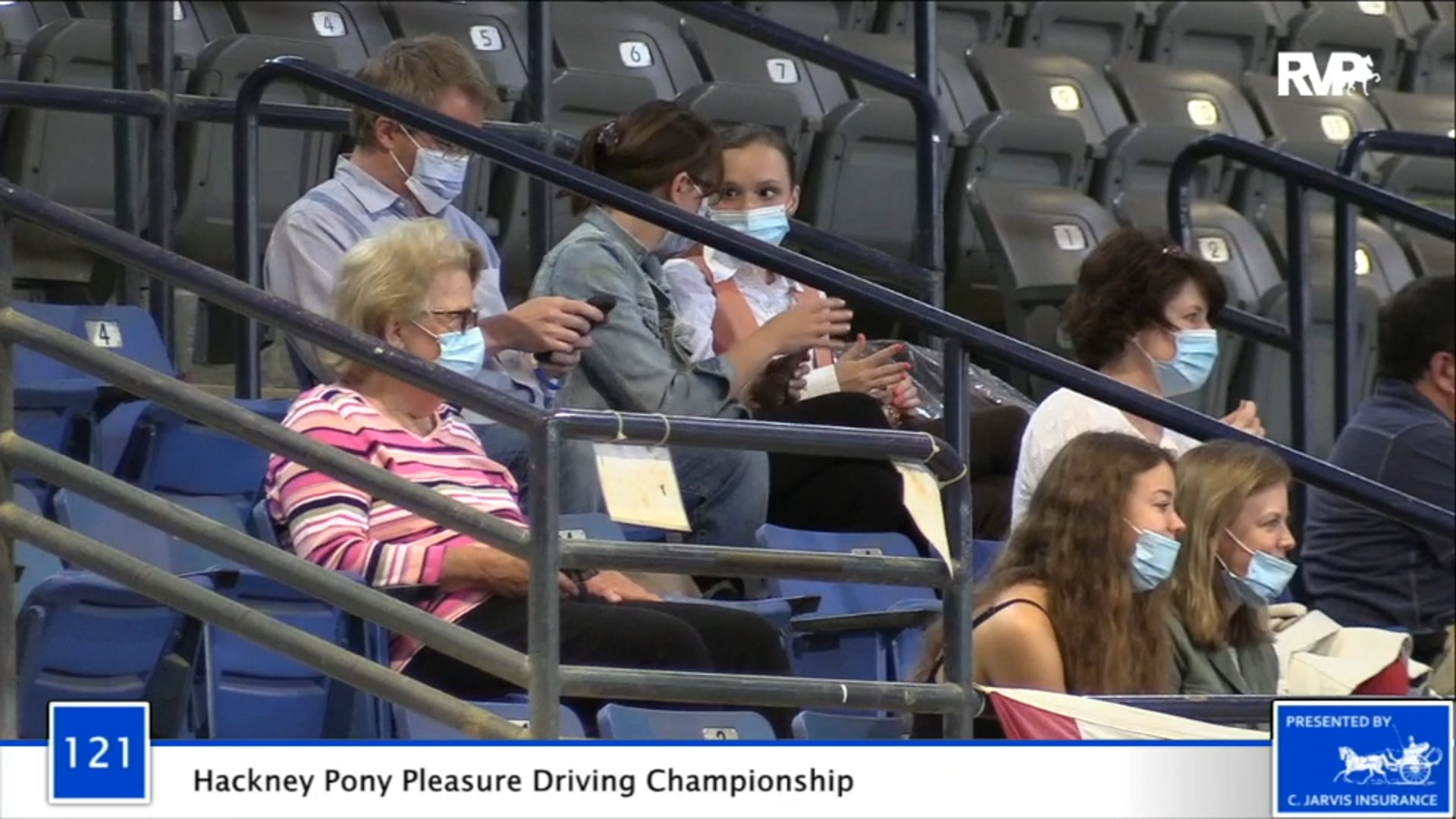 2020 BB - Class 121 Hackney Pony Pleasure Driving Championship