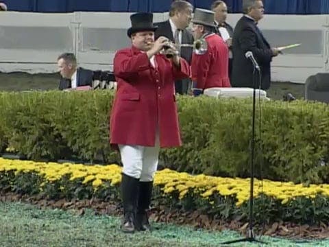 2008 WCHS Class 169 Three Gaited Pony...