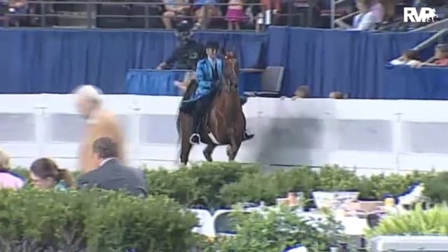 2010 World's Championship Horse Show ...
