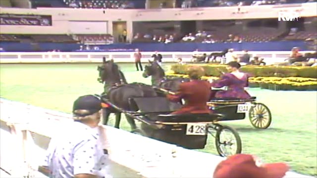 1992 WCHS Class 136 Amateur Hackney P...