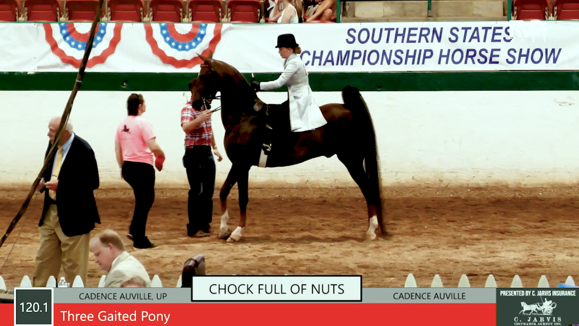 SS21 - Class 120.1 - Three Gaited Pony