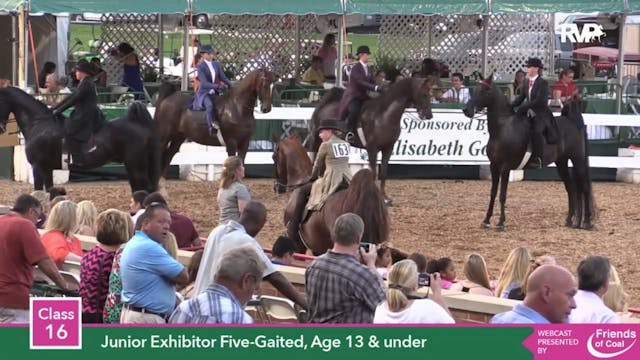 2015 LJL - Class 16 Junior Exhibitor ...