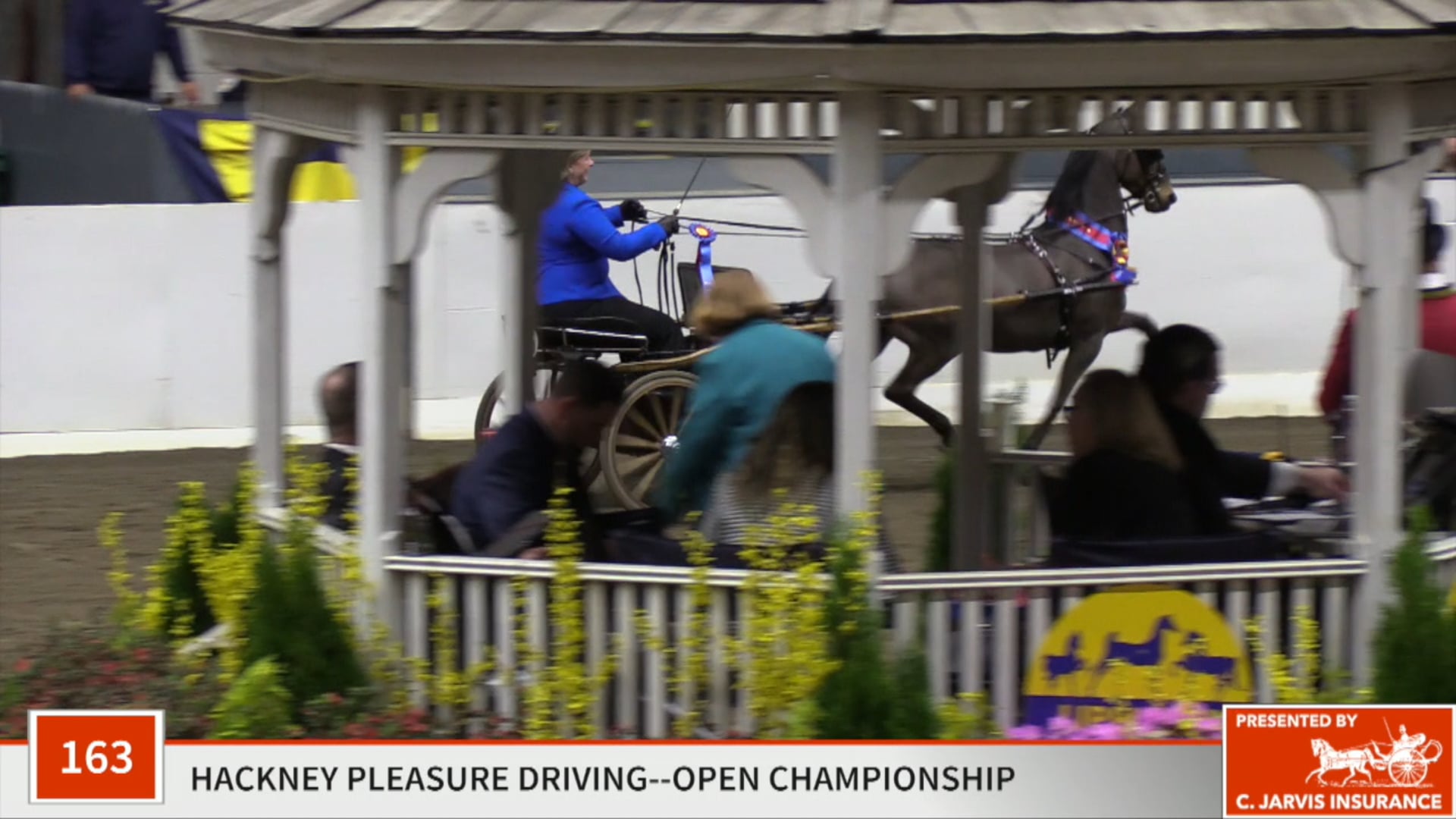 UPHA14-19 - Class 163 - Heartland Anthem Championship