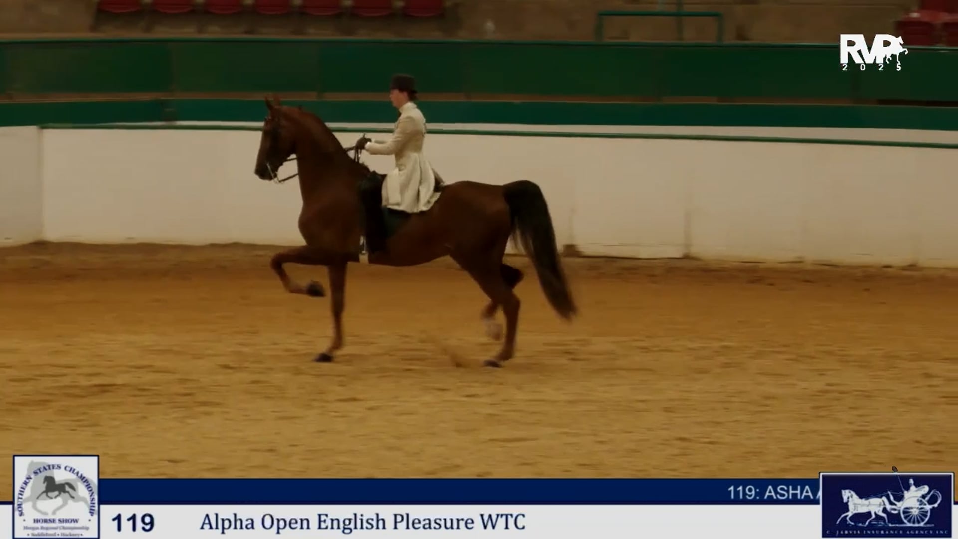 SS25 - Class 119 -  Alpha Open English Pleasure WTC