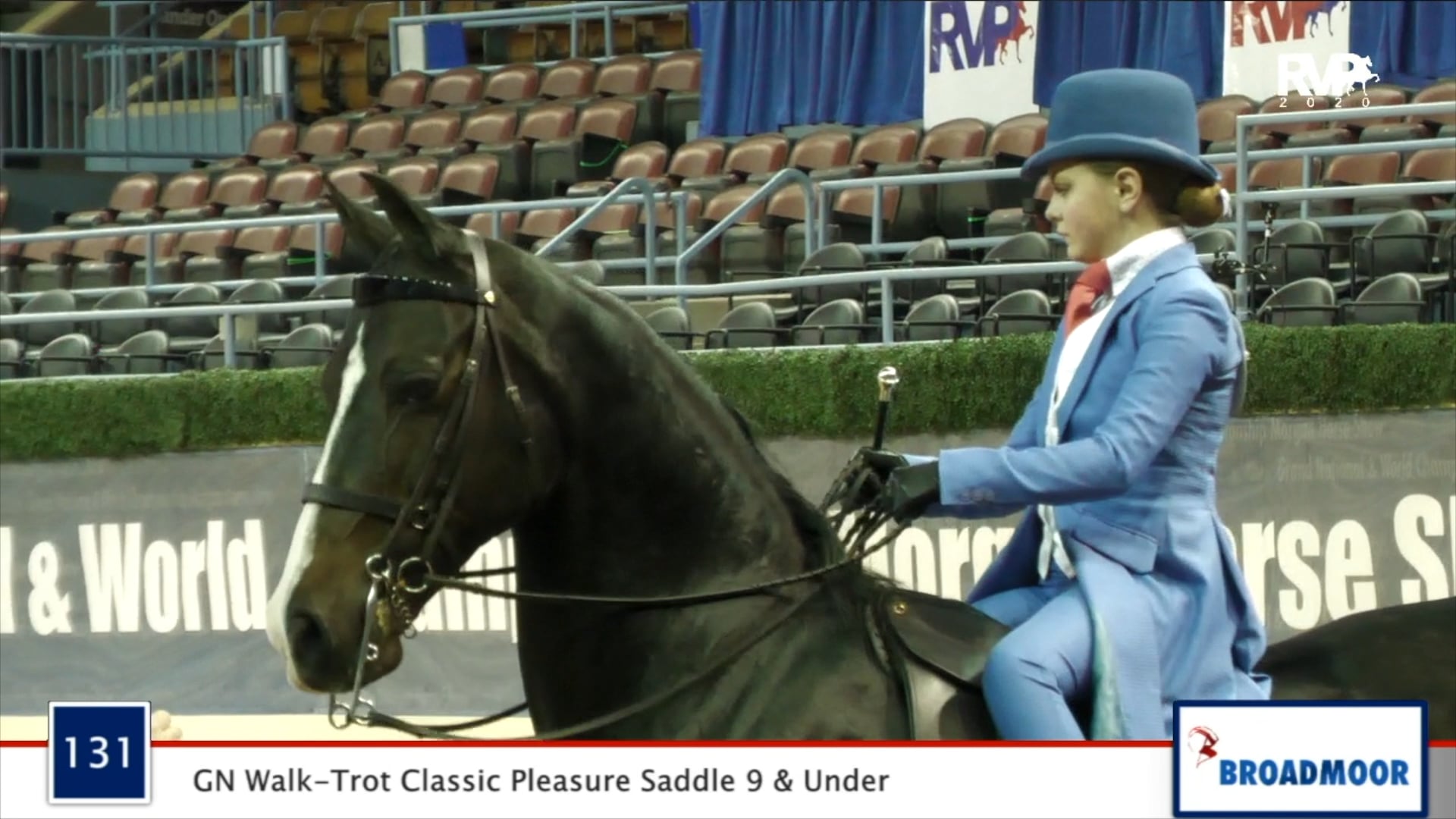 2020 MGN - Class 131 GN Walk-Trot Classic Pleasure Saddle 9 & Under