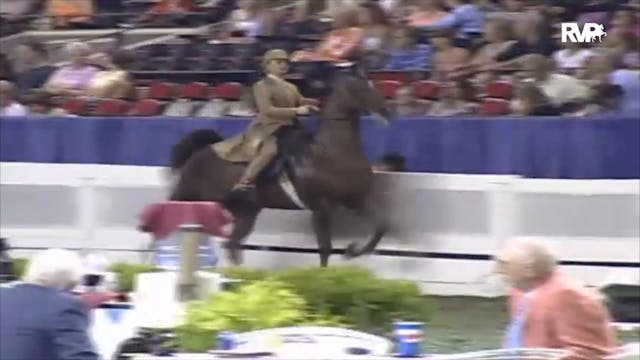 2006 WCHS Class 75 Equitation Open Ri...