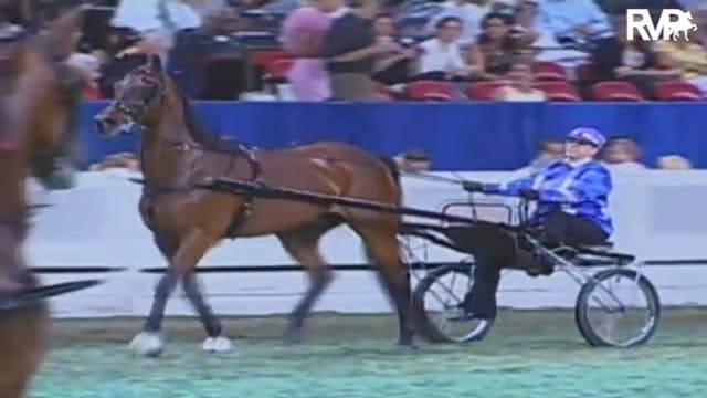 2009 World's Championship Horse Show ...