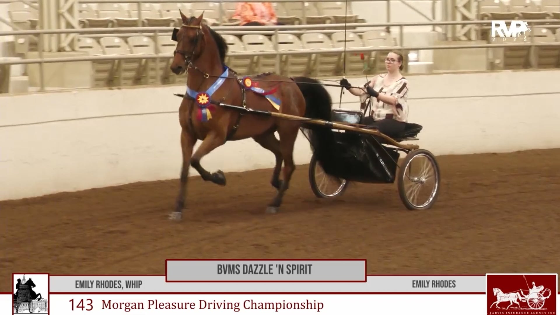 MW25 - Class 143 - BVMS Dazzle 'N Spirit and Emily Rhodes, Whip