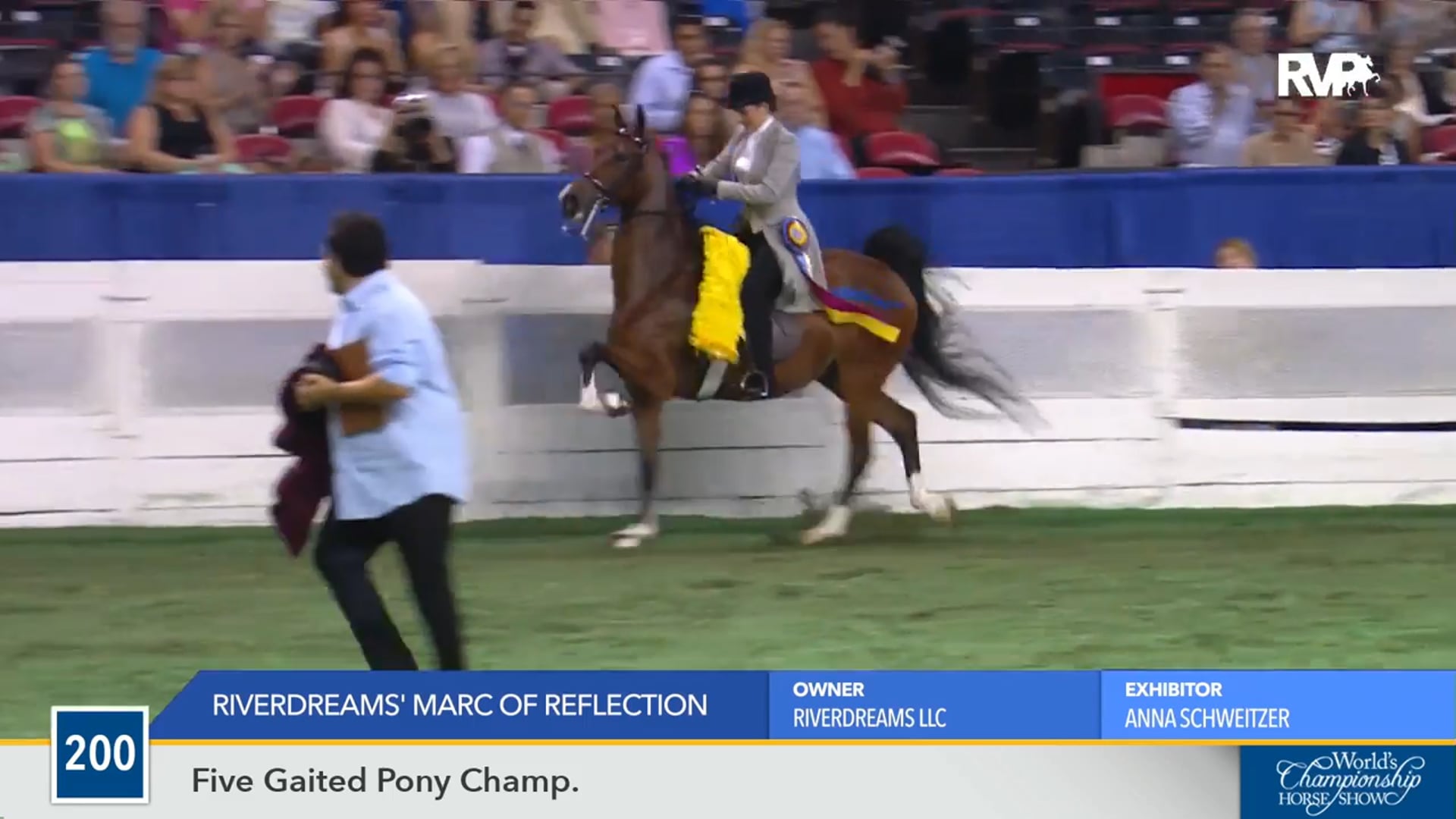 WCHS16 - Riverdream's Marc of Reflection - Championship 