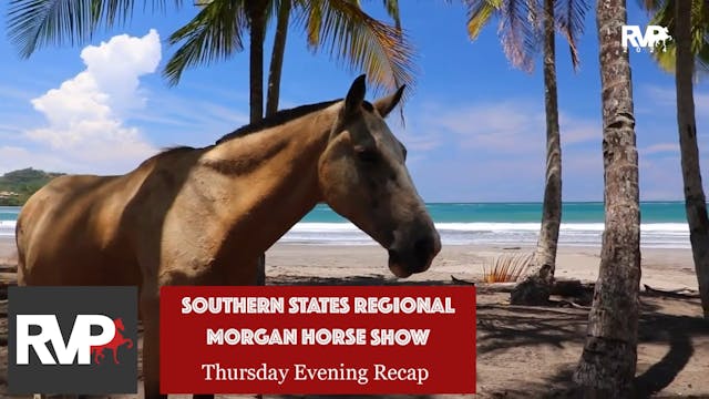 SS24 - Thursday Evening Recap