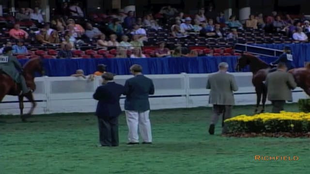 2002 WCHS Class 19 Three Gaited Rider...
