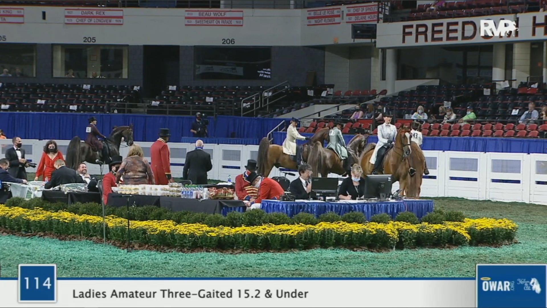WCHS 2020 Class 114 - Ladies Amateur Three-Gaited 15.2 & Under