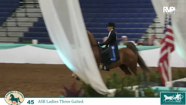 GC26 - Class 45 - Festival Calypso LR...