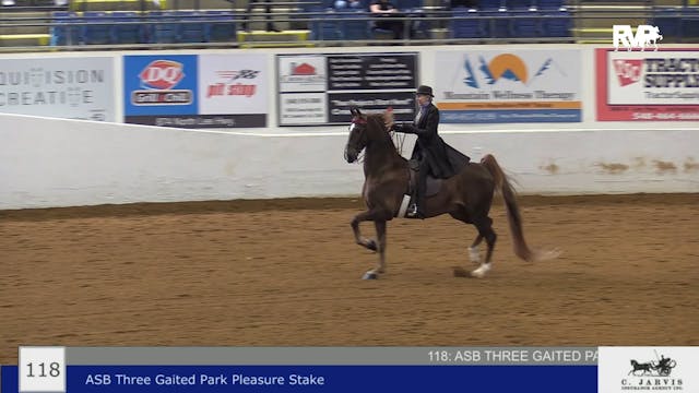 BB22 - Class 118 -  ASB Three Gaited ...