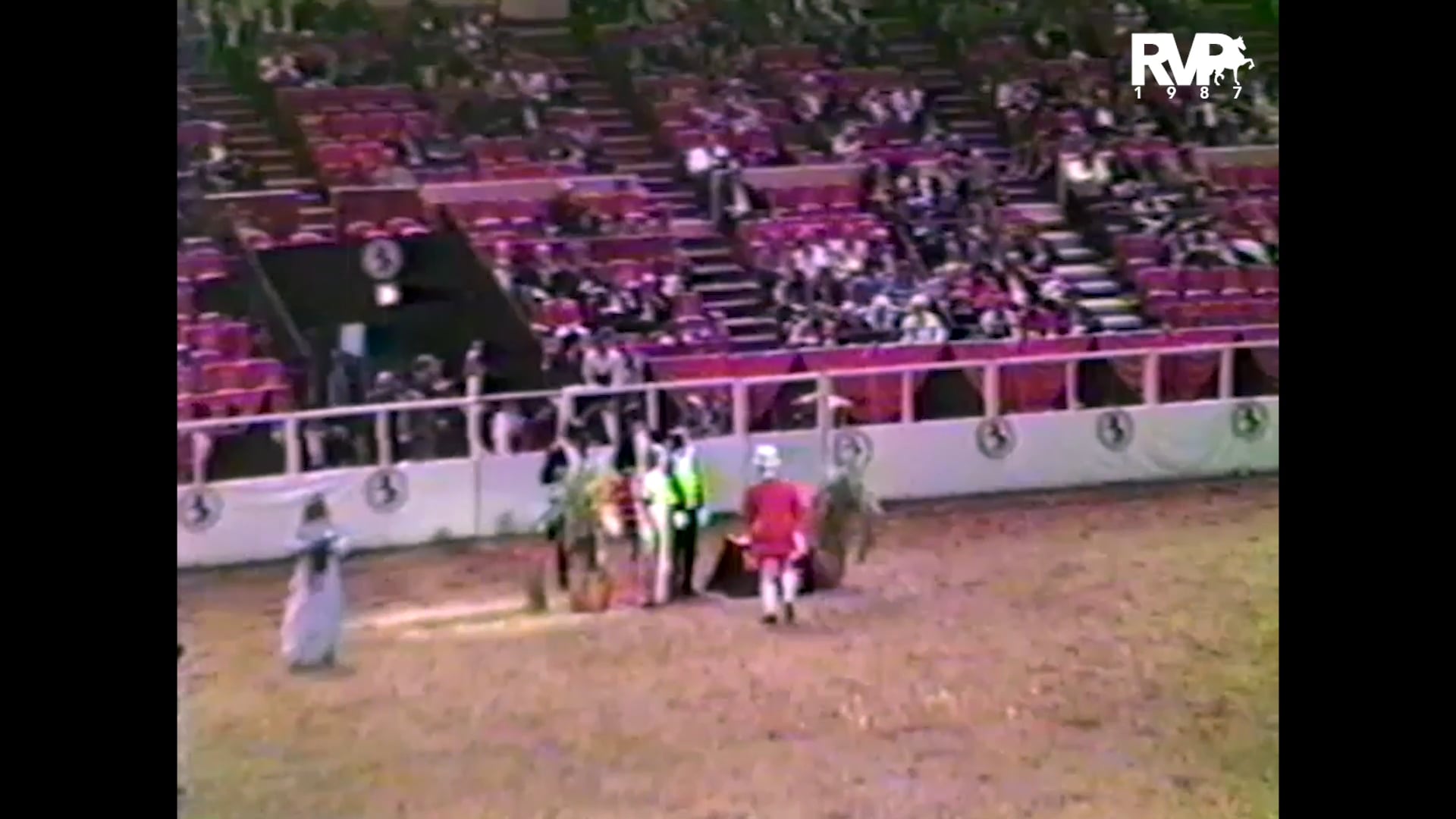 1987 New York National @ Madison Square Garden - Amateur Three Gaited Championship - Ch Yorktown Pudding and Christine Shaw, up