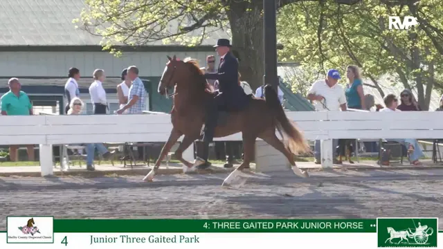 DC26 - Class 4 - Jr Three Gaited Park
