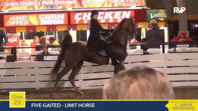 2015 RC - Class 22 Five Gaited Limit ...