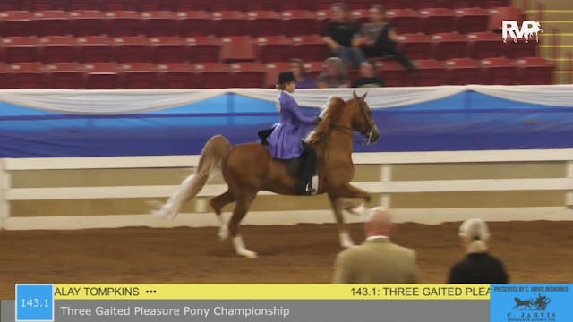 BR21 - Class 143.1 - Three Gaited Ple...