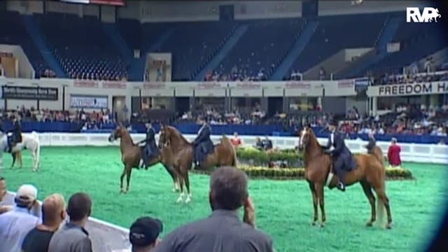 2010 World's Championship Horse Show ...