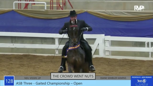 ASC21 - Class 128 - ASB Three Gaited ...