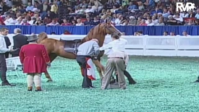 2009 World's Championship Horse Show ...