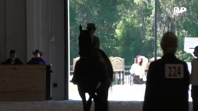 CC26 - Class 131 - ASB WT Equitation ...